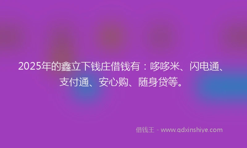 2025年的鑫立下钱庄借钱有：哆哆米、闪电通、支付通、安心购、随身贷等。