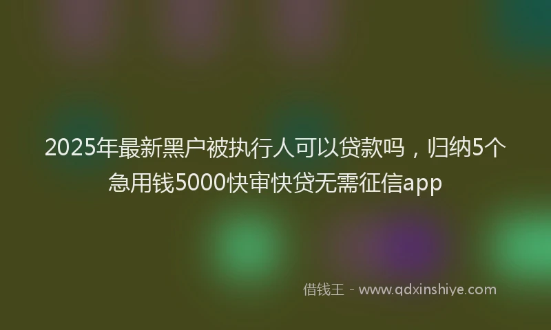 2025年最新黑户被执行人可以贷款吗，归纳5个急用钱5000快审快贷无需征信app
