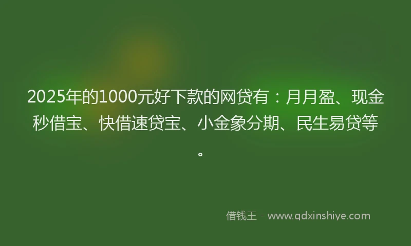 2025年的1000元好下款的网贷有：月月盈、现金秒借宝、快借速贷宝、小金象分期、民生易贷等。