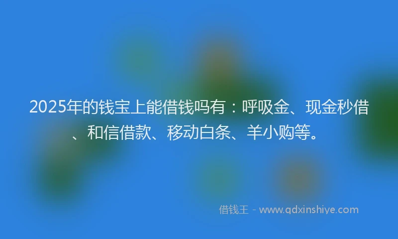 2025年的钱宝上能借钱吗有：呼吸金、现金秒借、和信借款、移动白条、羊小购等。