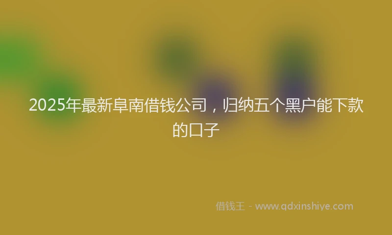 2025年最新阜南借钱公司，归纳五个黑户能下款的口子