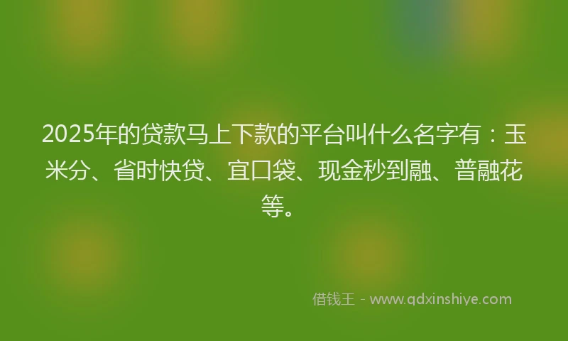 2025年的贷款马上下款的平台叫什么名字有：玉米分、省时快贷、宜口袋、现金秒到融、普融花等。