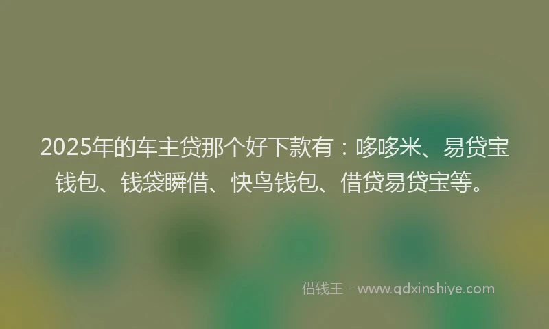 2025年的车主贷那个好下款有：哆哆米、易贷宝钱包、钱袋瞬借、快鸟钱包、借贷易贷宝等。