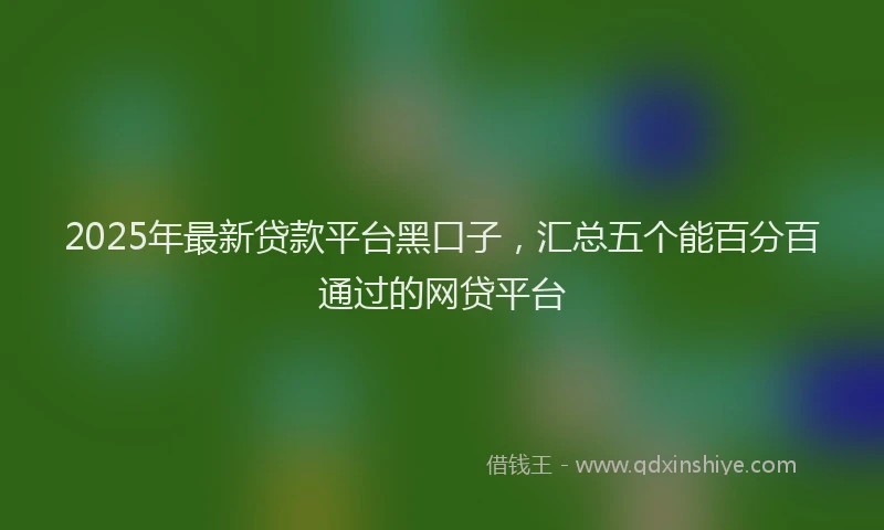 2025年最新贷款平台黑口子，汇总五个能百分百通过的网贷平台