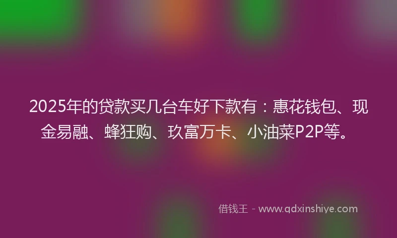 2025年的贷款买几台车好下款有：惠花钱包、现金易融、蜂狂购、玖富万卡、小油菜P2P等。