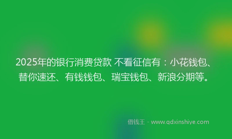 2025年的银行消费贷款 不看征信有：小花钱包、替你速还、有钱钱包、瑞宝钱包、新浪分期等。