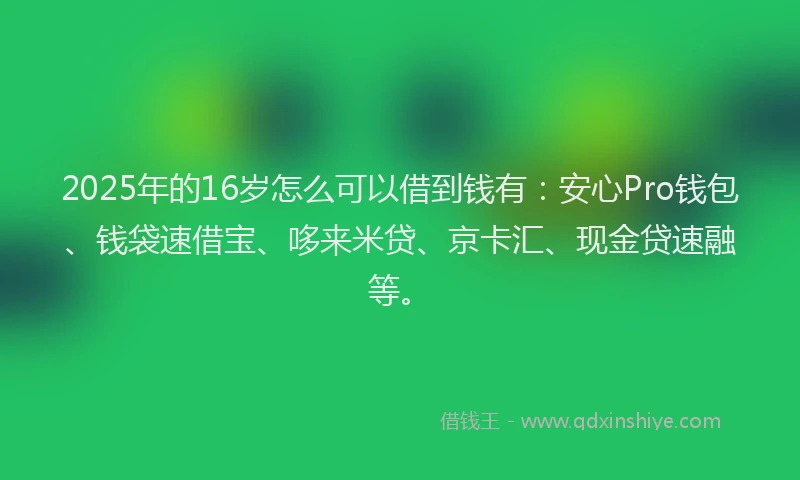 2025年的16岁怎么可以借到钱有：安心Pro钱包、钱袋速借宝、哆来米贷、京卡汇、现金贷速融等。