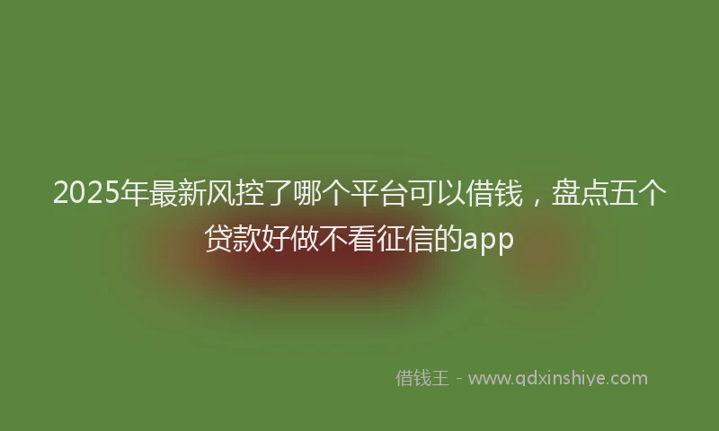 2025年最新风控了哪个平台可以借钱，盘点五个贷款好做不看征信的app
