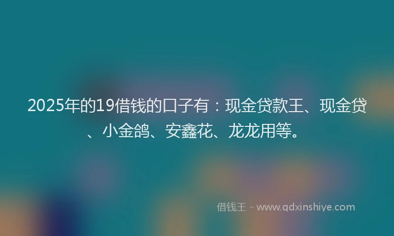 2025年的19借钱的口子有：现金贷款王、现金贷、小金鸽、安鑫花、龙龙用等。