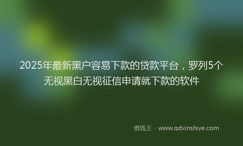 2025年最新黑户容易下款的贷款平台，罗列5个无视黑白无视征信申请就下款的软件
