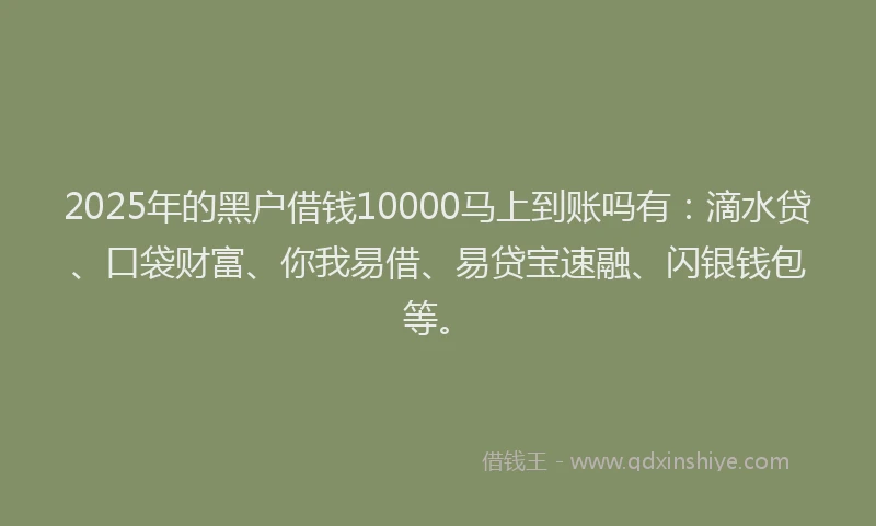2025年的黑户借钱10000马上到账吗有：滴水贷、口袋财富、你我易借、易贷宝速融、闪银钱包等。