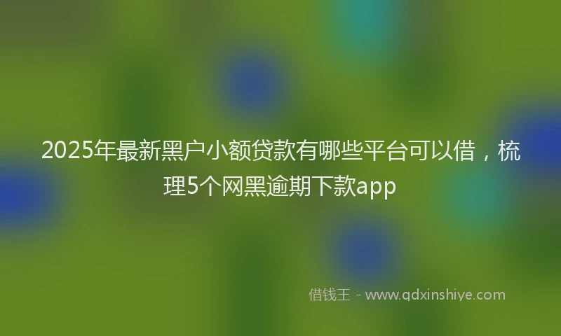 2025年最新黑户小额贷款有哪些平台可以借，梳理5个网黑逾期下款app