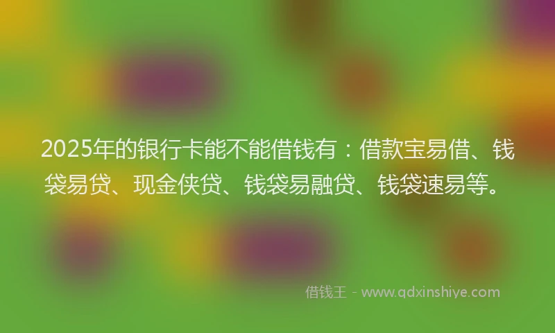 2025年的银行卡能不能借钱有：借款宝易借、钱袋易贷、现金侠贷、钱袋易融贷、钱袋速易等。