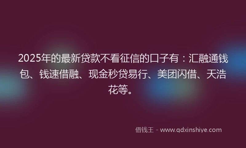2025年的最新贷款不看征信的口子有：汇融通钱包、钱速借融、现金秒贷易行、美团闪借、天浩花等。