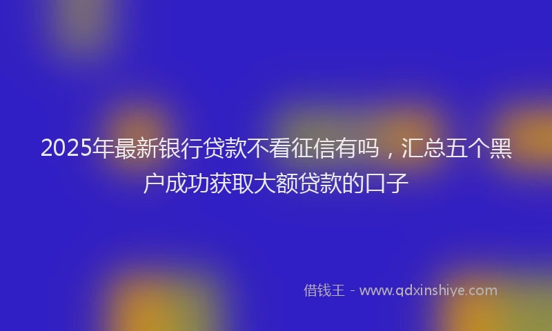 2025年最新银行贷款不看征信有吗，汇总五个黑户成功获取大额贷款的口子