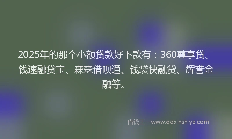 2025年的那个小额贷款好下款有：360尊享贷、钱速融贷宝、森森借呗通、钱袋快融贷、辉誉金融等。