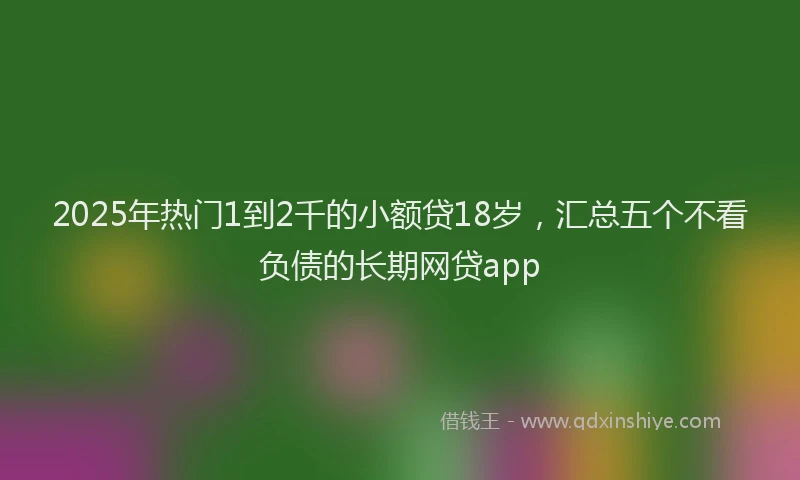2025年热门1到2千的小额贷18岁，汇总五个不看负债的长期网贷app