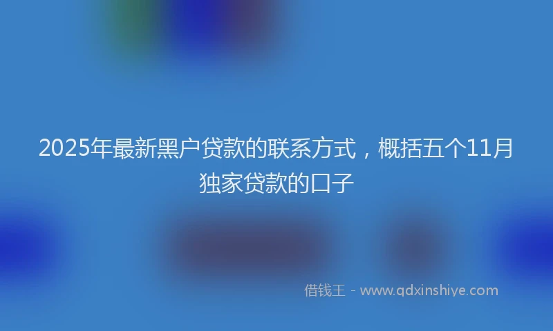 2025年最新黑户贷款的联系方式，概括五个11月独家贷款的口子