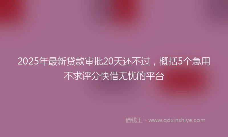 2025年最新贷款审批20天还不过，概括5个急用不求评分快借无忧的平台