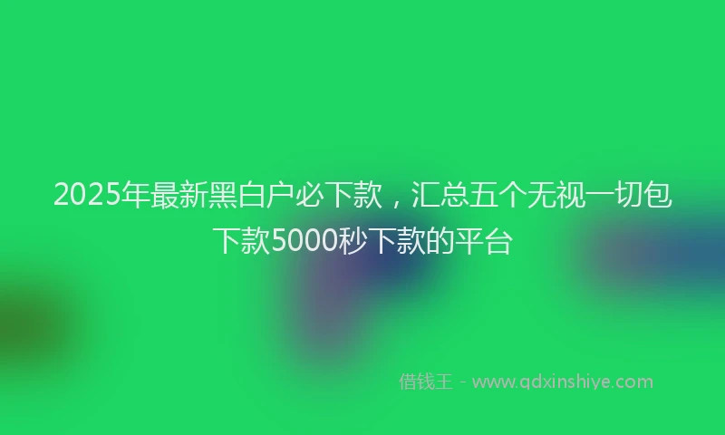 2025年最新黑白户必下款，汇总五个无视一切包下款5000秒下款的平台