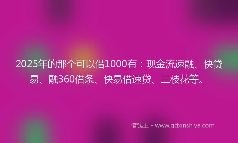 2025年的那个可以借1000有：现金流速融、快贷易、融360借条、快易借速贷、三枝花等。