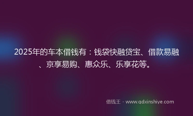 2025年的车本借钱有：钱袋快融贷宝、借款易融、京享易购、惠众乐、乐享花等。