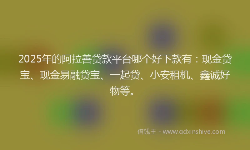 2025年的阿拉善贷款平台哪个好下款有：现金贷宝、现金易融贷宝、一起贷、小安租机、鑫诚好物等。