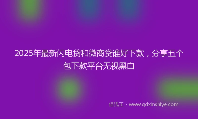 2025年最新闪电贷和微商贷谁好下款，分享五个包下款平台无视黑白