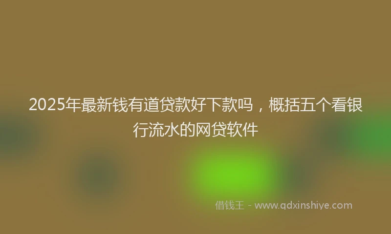 2025年最新钱有道贷款好下款吗，概括五个看银行流水的网贷软件