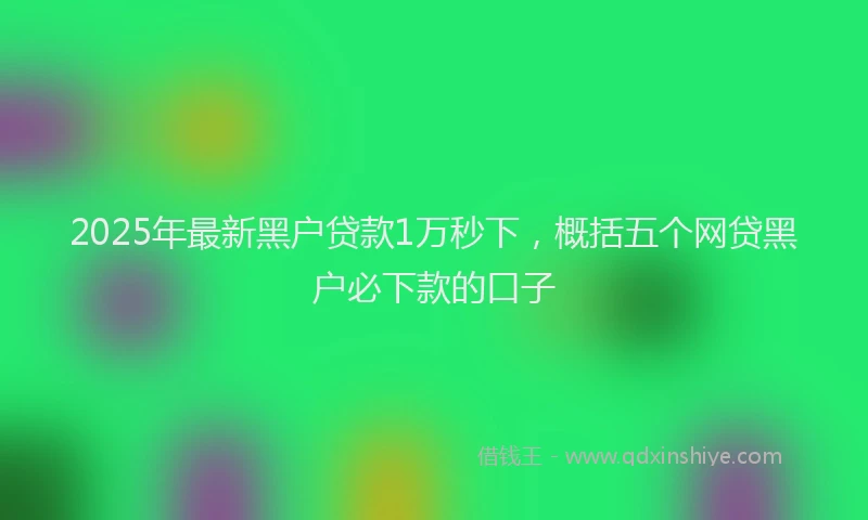 2025年最新黑户贷款1万秒下，概括五个网贷黑户必下款的口子