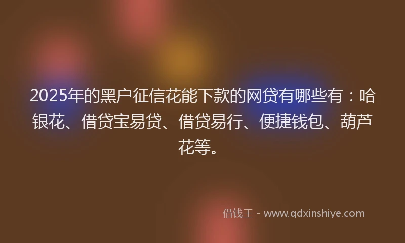 2025年的黑户征信花能下款的网贷有哪些有：哈银花、借贷宝易贷、借贷易行、便捷钱包、葫芦花等。