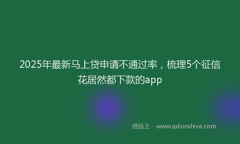 2025年最新马上贷申请不通过率，梳理5个征信花居然都下款的app
