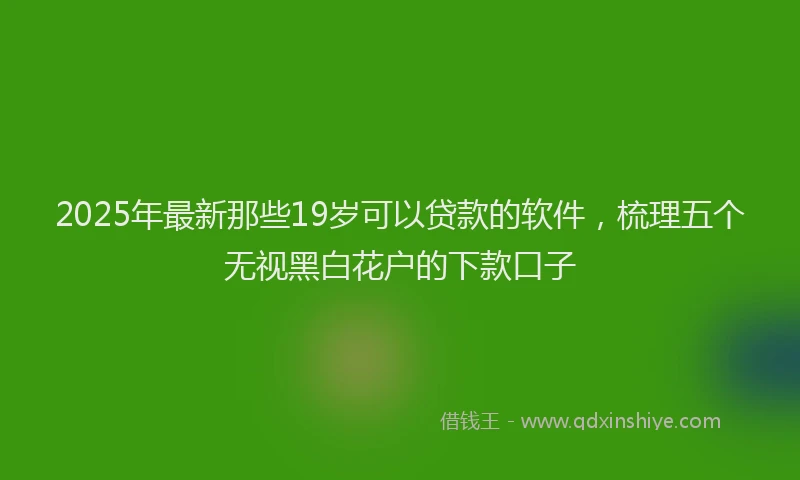 2025年最新那些19岁可以贷款的软件，梳理五个无视黑白花户的下款口子