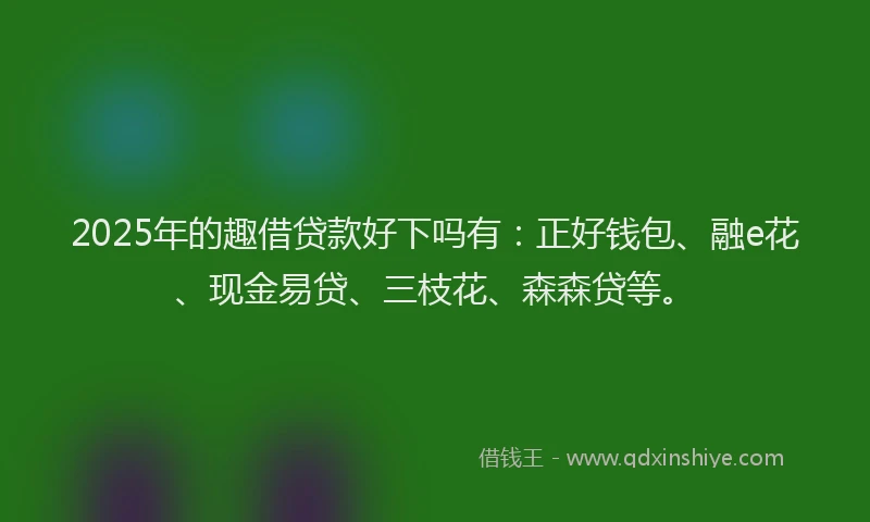 2025年的趣借贷款好下吗有：正好钱包、融e花、现金易贷、三枝花、森森贷等。