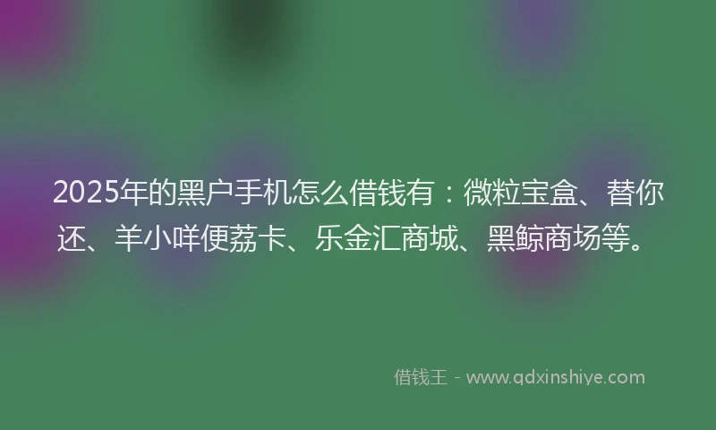 2025年的黑户手机怎么借钱有：微粒宝盒、替你还、羊小咩便荔卡、乐金汇商城、黑鲸商场等。