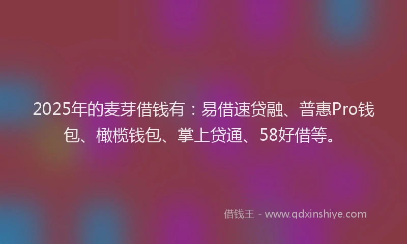 2025年的麦芽借钱有：易借速贷融、普惠Pro钱包、橄榄钱包、掌上贷通、58好借等。