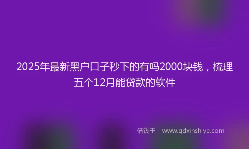 2025年最新黑户口子秒下的有吗2000块钱，梳理五个12月能贷款的软件