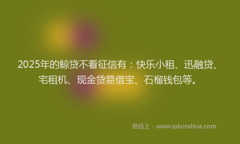 2025年的鲸贷不看征信有：快乐小租、迅融贷、宅租机、现金贷易借宝、石榴钱包等。