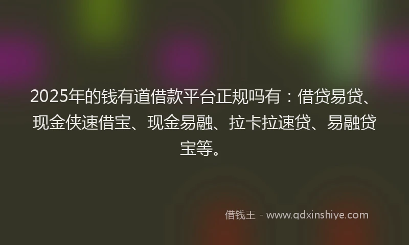2025年的钱有道借款平台正规吗有：借贷易贷、现金侠速借宝、现金易融、拉卡拉速贷、易融贷宝等。