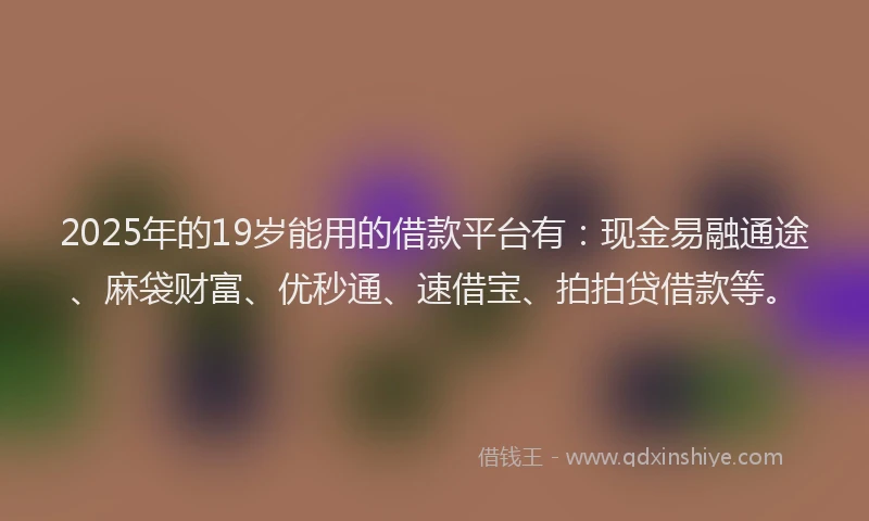 2025年的19岁能用的借款平台有：现金易融通途、麻袋财富、优秒通、速借宝、拍拍贷借款等。
