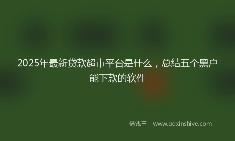 2025年最新贷款超市平台是什么，总结五个黑户能下款的软件
