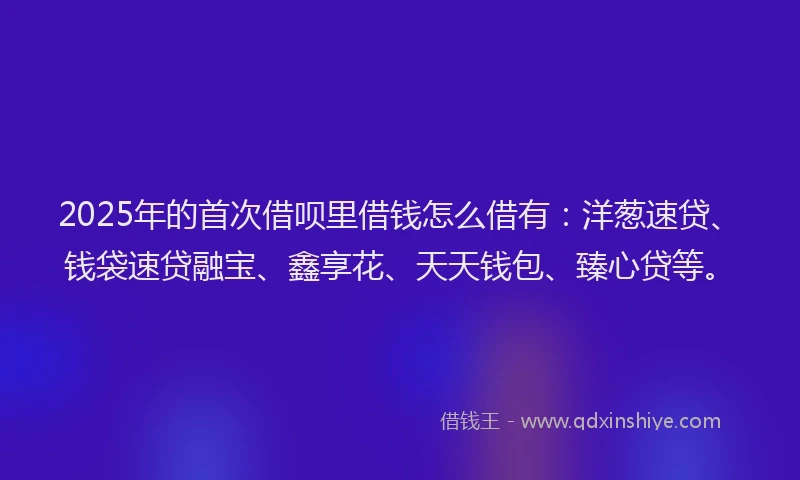 2025年的首次借呗里借钱怎么借有：洋葱速贷、钱袋速贷融宝、鑫享花、天天钱包、臻心贷等。