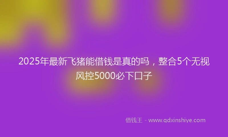 2025年最新飞猪能借钱是真的吗，整合5个无视风控5000必下口子