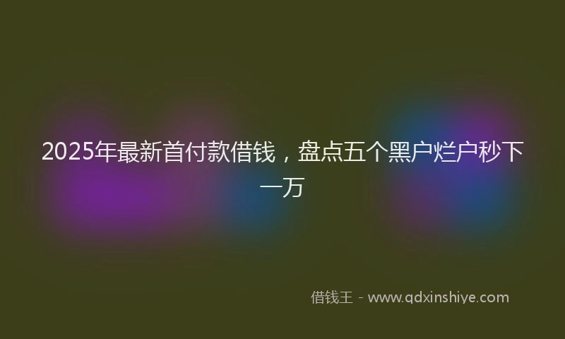 2025年最新首付款借钱，盘点五个黑户烂户秒下一万
