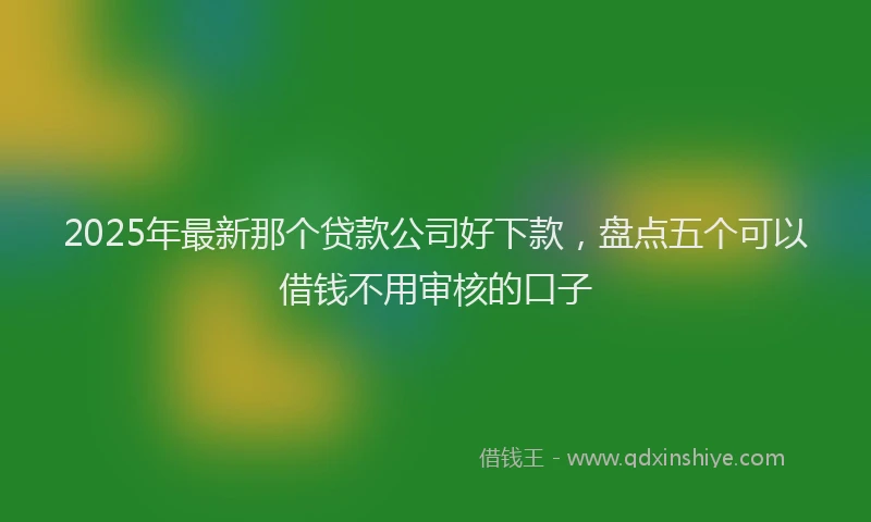 2025年最新那个贷款公司好下款，盘点五个可以借钱不用审核的口子