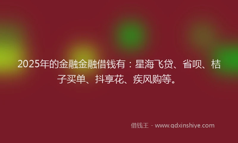 2025年的金融金融借钱有：星海飞贷、省呗、桔子买单、抖享花、疾风购等。