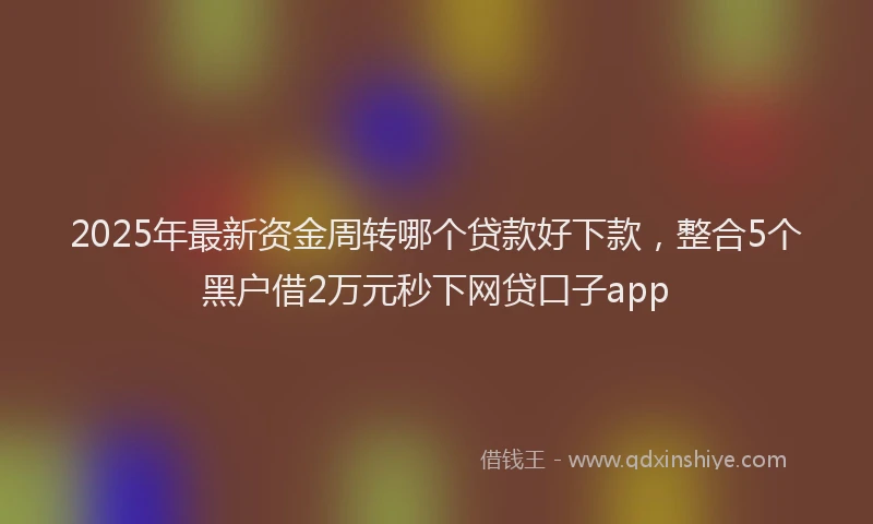 2025年最新资金周转哪个贷款好下款，整合5个黑户借2万元秒下网贷口子app