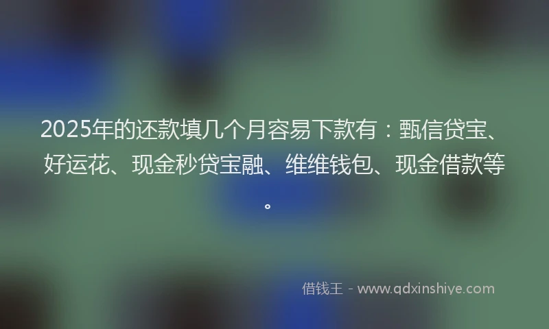 2025年的还款填几个月容易下款有：甄信贷宝、好运花、现金秒贷宝融、维维钱包、现金借款等。