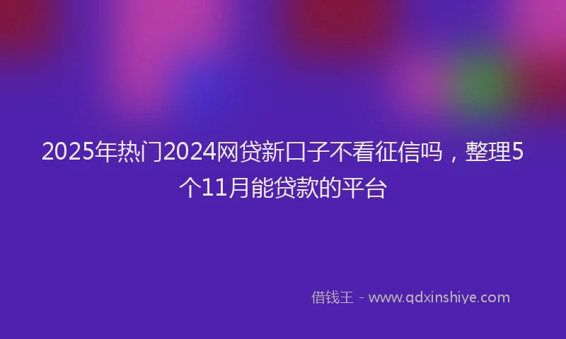 2025年热门2024网贷新口子不看征信吗，整理5个11月能贷款的平台