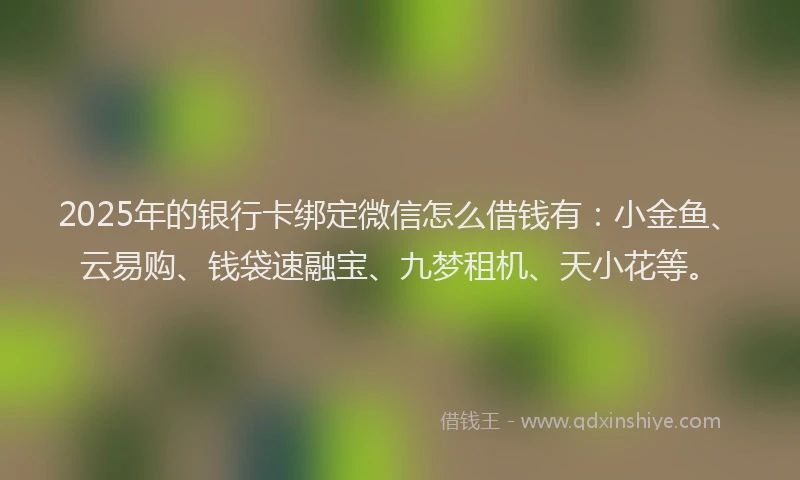 2025年的银行卡绑定微信怎么借钱有：小金鱼、云易购、钱袋速融宝、九梦租机、天小花等。